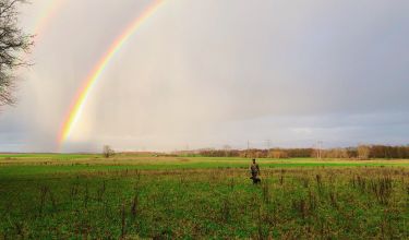 Hundespaziergang Feld Regenbogen