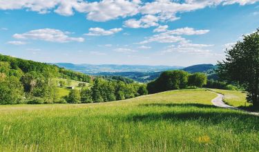 Blick auf grüne Wiesen und Hügel bei Sonnenschein