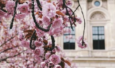 Frühling Alte Oper