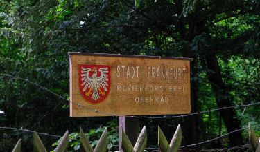 Förster 4
