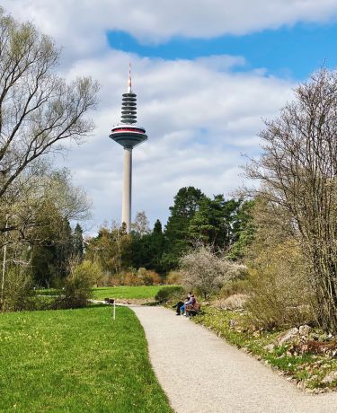 Botanical Garden Ginnheimer Spargel Fernsehturm TV Tower