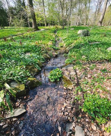 Botanical Gardens Stream
