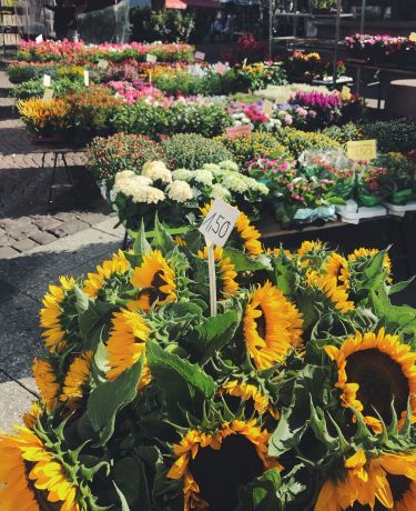 Blumenmarkt Liebfrauenberg