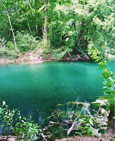 Grüner See