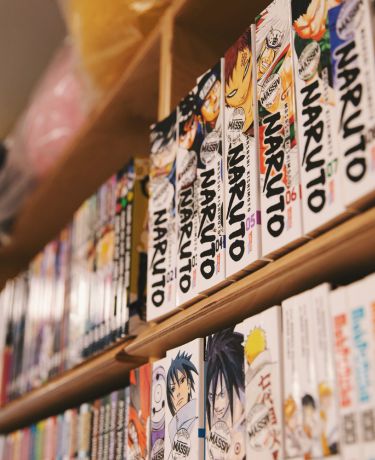 Japanisches Viertel Bücher 3
