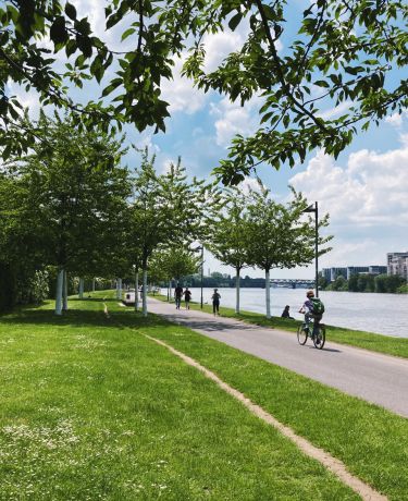 Jogging Mainufer City