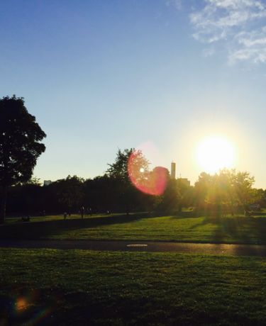 Park