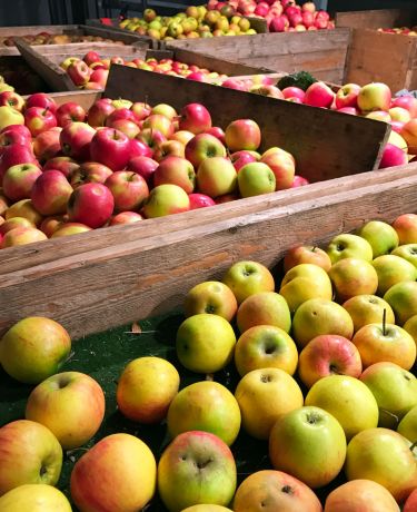 Äpfel Markt 