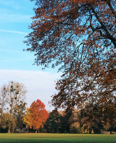 Ostpark Herbst