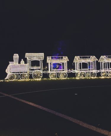 Christmas Garden Lok