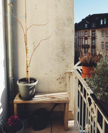 Balkon