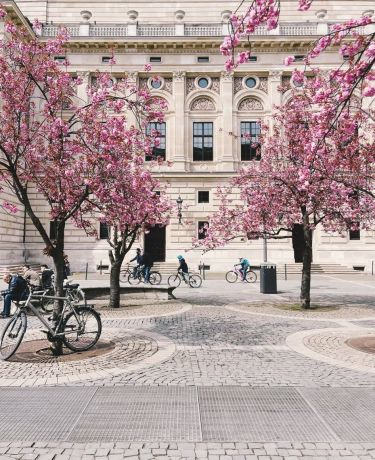 Alte Oper Titel Frühling