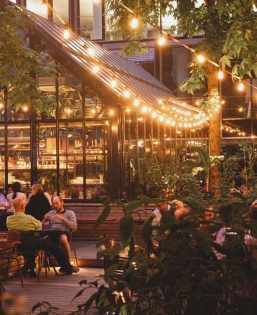 Elaine's Greenhouse 2
