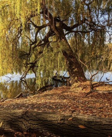 Ostpark Herbst