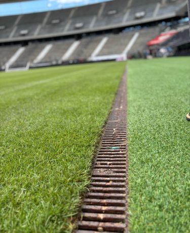 Waldstadion Rasen