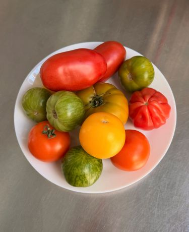 Sazios Tomaten