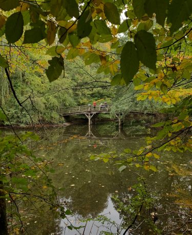 Stadtwald Joggen 3